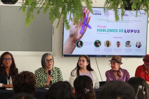 Piden personas con lupus visibilizar esta enfermedad y modificaciones a la legislación para erradicar la vulneración a sus derechos humanos imagen 2