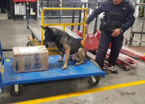 Encuentran más de 54 kilogramos de cocaína en empresas de mensajería imagen 1