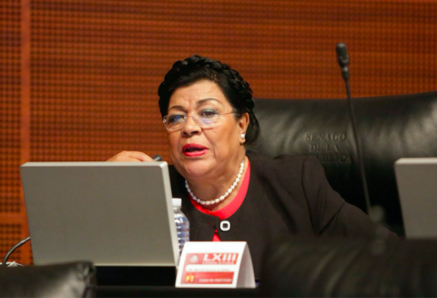 Carreteras seguras propuesta de Martha Palafox en el Senado
