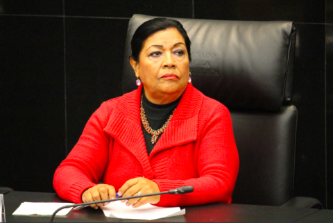 “A las instituciones nos está rebasando la impunidad y la violencia”: Martha Palafox