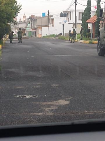 Carnitas se vuelve mapache de Anabell imagen 2
