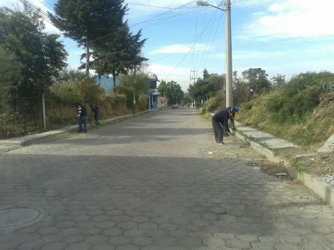 Continúan jornadas de limpieza en Apetatitlán imagen 1