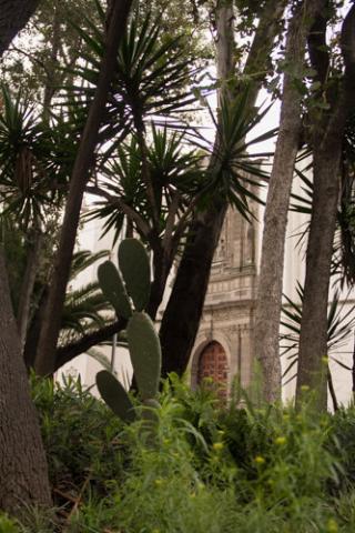 La Ciudad de México es cada vez más verde: Fondo Mixto de Promoción Turística imagen 4