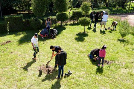 Más de 10 mil voluntarios se sumaron a acciones de reforestación