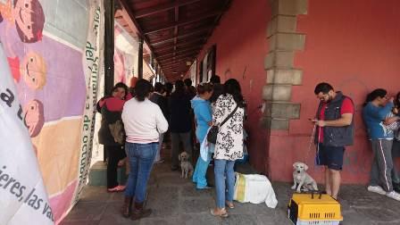 Promueven esterilización de mascotas en Chiautempan imagen 2