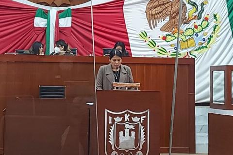 Un derecho la protección de las víctimas de violencia familiar: Diana Torrejón