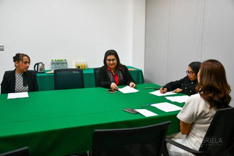 Preside Gabriela Hernández la Comisión de Derechos Humanos en el Congreso