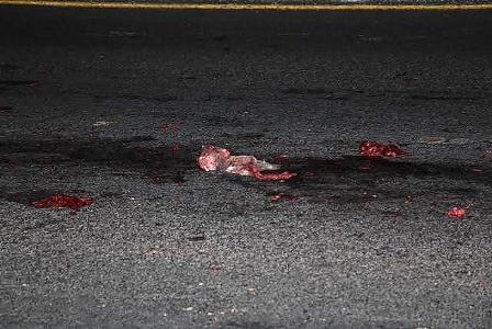 Cuerpo hallado en El Trébol es de un trabajador que fue atropellado: PGJE