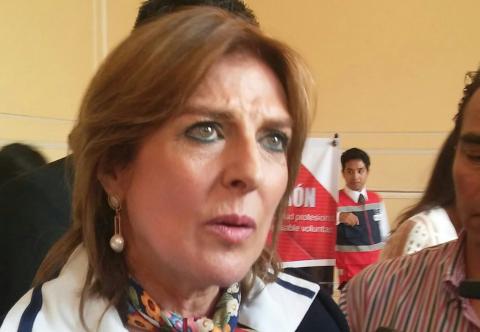 Innecesario auditar a Martha Sesin en su paso por la Cruz Roja