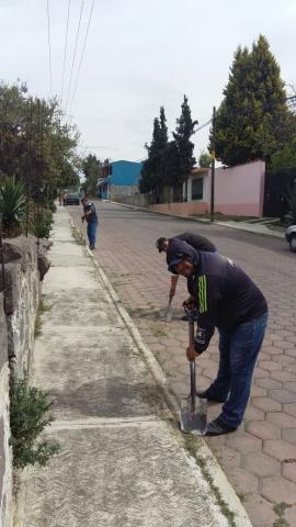 Continúan jornadas de limpieza en Apetatitlán imagen 3