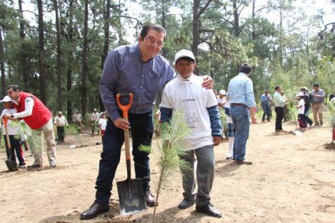 El gobernador inicia programa de reforestación 2017 en la Malinche imagen 3