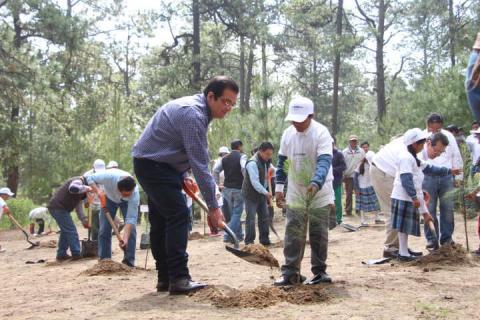 El gobernador inicia programa de reforestación 2017 en la Malinche imagen 2