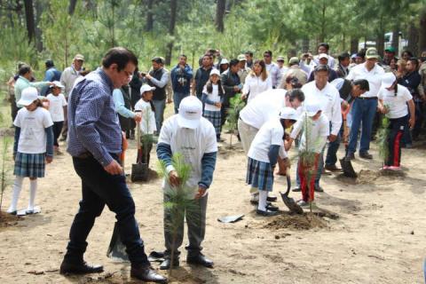 El gobernador inicia programa de reforestación 2017 en la Malinche imagen 4