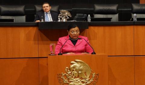 Busca Martha Palafox seguridad digital para niños y adolescentes