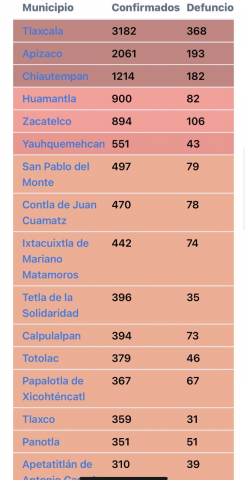 Mitad de fallecidos por COVID-19 se concentran en 7 municipios imagen 2