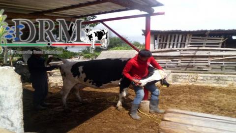 Realizan muestreo de sangre en Tequexquitla para detectección de patógenos imagen 7