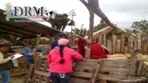 Realizan muestreo de sangre en Tequexquitla para detectección de patógenos imagen 4