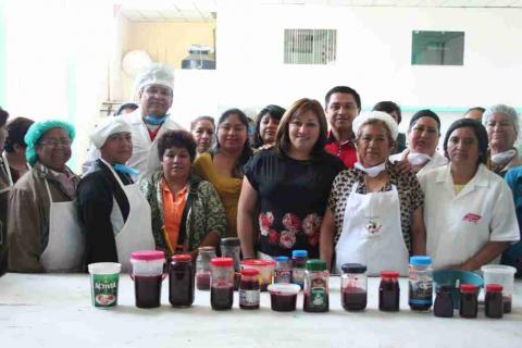 DIF municipal de Tlaxcala favorece desarrollo de familias de Ocotlán imagen 1
