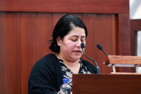 Utiliza Blanca Águila tribuna del Congreso para defender corrupción