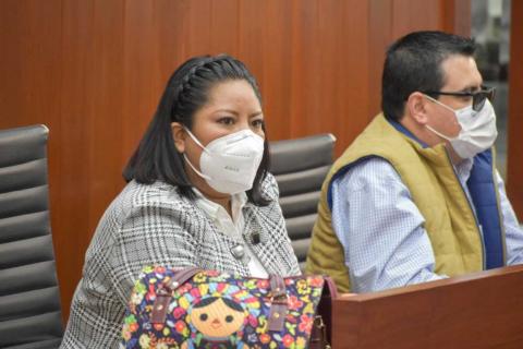 Propone Brenda Cecilia exhortar al Congreso de la Unión a favor de pueblos indígenas imagen 2
