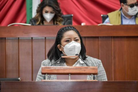 Propone Brenda Cecilia exhortar al Congreso de la Unión a favor de pueblos indígenas imagen 1