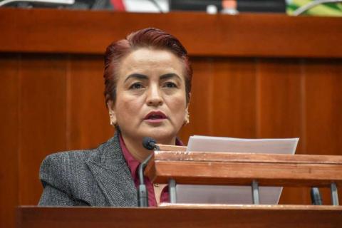 Presenta Guillermina Loaiza iniciativa para expedir Ley de Salud Mental
