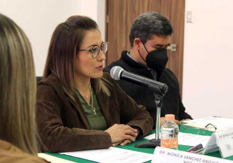 Se reúne diputada Reyna Báez con organismos empresariales en el Congreso imagen 2