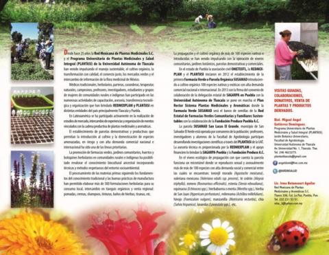 Jornadas de promoción de la Chia en la región Tlaxcala- Puebla imagen 2