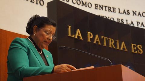 Vota Martha Palafox a favor de ley para el incremento de la productividad