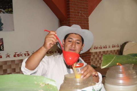 Inauguran “Pabellón del Pulque” en Feria Calpulalpan 2017 imagen 4