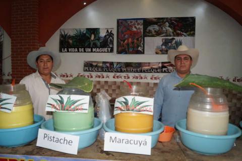 Inauguran “Pabellón del Pulque” en Feria Calpulalpan 2017 imagen 5