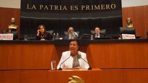 Exhorta Martha Palafox a recuperar la identidad de la Bandera Nacional imagen 2