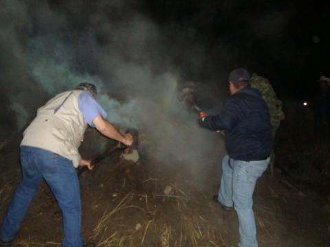 Clausuran cinco aserraderos y aseguran 2 mil 891 m3 de madera ilegal en Tlaxcala imagen 2
