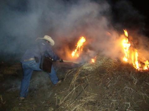 Clausuran cinco aserraderos y aseguran 2 mil 891 m3 de madera ilegal en Tlaxcala imagen 1