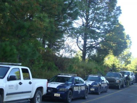 Clausuran cinco aserraderos y aseguran 2 mil 891 m3 de madera ilegal en Tlaxcala imagen 3