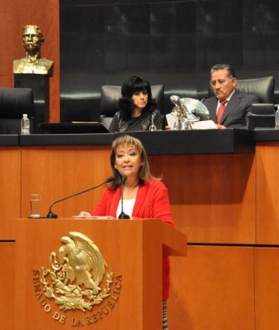 En Senado avanza reforma para garantizar la movilidad de personas con discapacidad en espacios públicos imagen 1