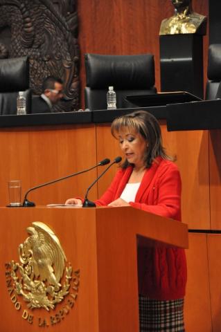 En Senado avanza reforma para garantizar la movilidad de personas con discapacidad en espacios públicos imagen 2