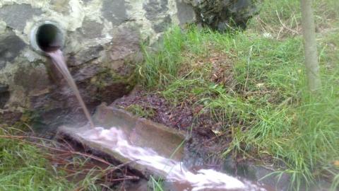 Profepa busca sancionar a empresa consentida de MGZ imagen 2