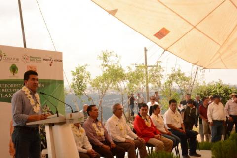 Inician autoridades campaña de reforestación en Tizatlan imagen 1