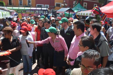 Hortaliza del Instituto capitalino de la Mujer, sirve para proveer a mujeres refugiadas imagen 1