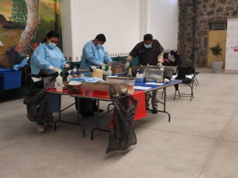 Realizan la esterilización de perros y gatos en Yauhquemehcan imagen 1
