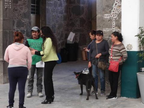 Realizan la esterilización de perros y gatos en Yauhquemehcan imagen 3