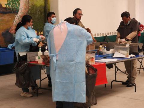 Realizan la esterilización de perros y gatos en Yauhquemehcan imagen 4