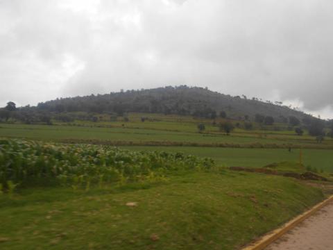 Gran afluencia en ejidos de Calpulalpan para apreciar “Lluvia de Luciérnagas” imagen 4