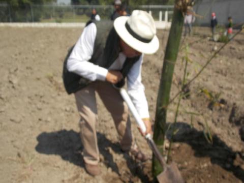 Plantea TOA impulsar ecología a través de proyectos sustentables