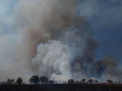 Exhorta ayuntamiento de Nanacamilpa evitar incendios forestales imagen 4