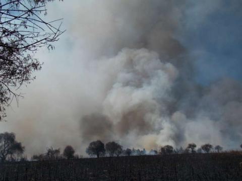 Exhorta ayuntamiento de Nanacamilpa evitar incendios forestales imagen 3