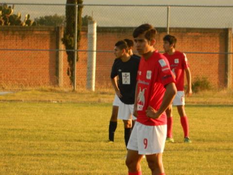 Destroza Linces de la UMT a Leones de Huachinango con un 10 a 0 imagen 1