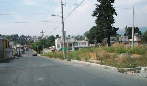 Descubren cráneo en capital del Estado