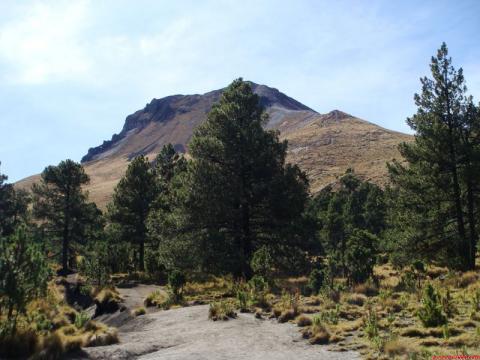 Buscan a tres franceses y un poblano extraviados en la Malintzi